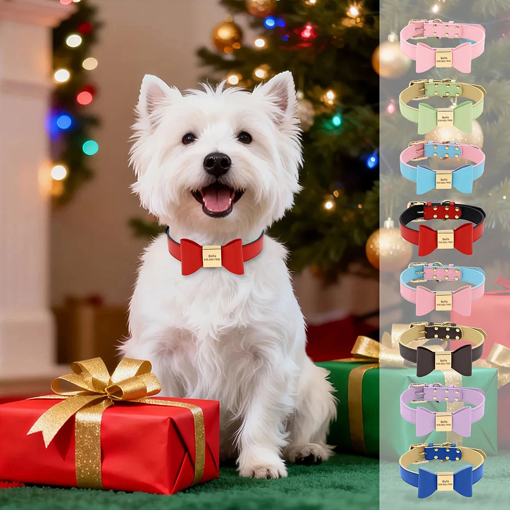 Chiot blanc portant un collier rouge personnalisé avec aperçu des différents coloris disponibles