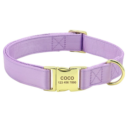 Collier personnalisé pour chien violet avec boucle gravée dorée, présenté sans accessoire.
