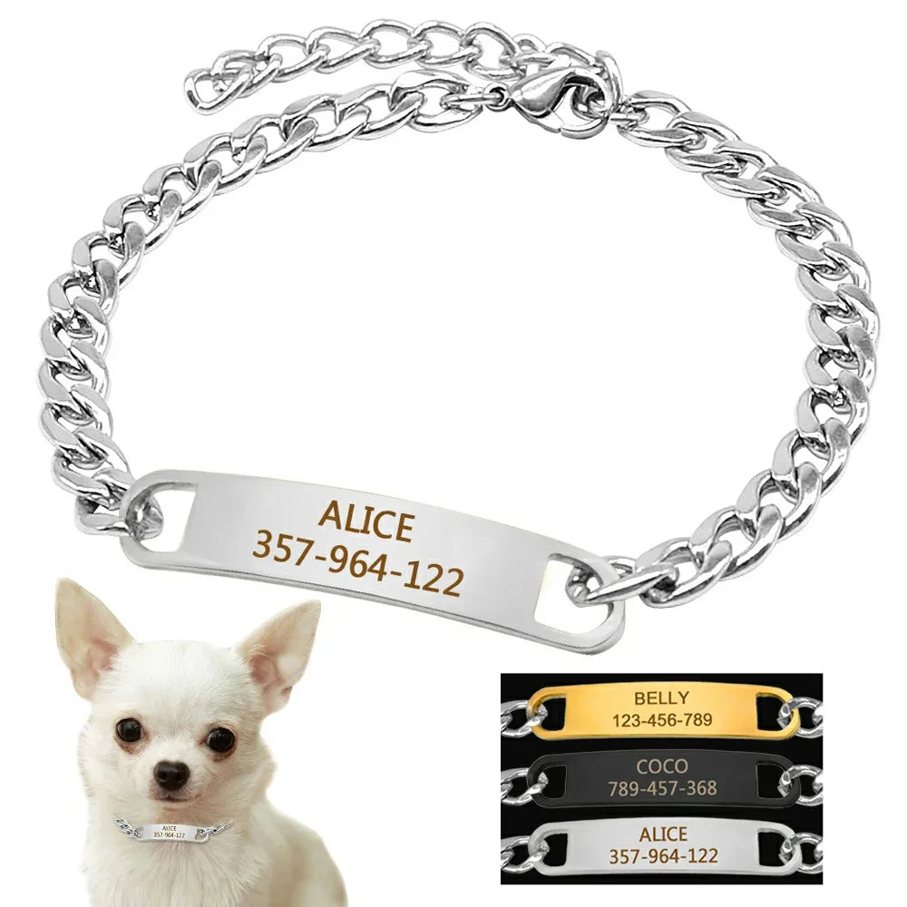 Visuel produit d’un collier chaîne personnalisé pour petit chien avec chihuahua et variantes de plaques.
