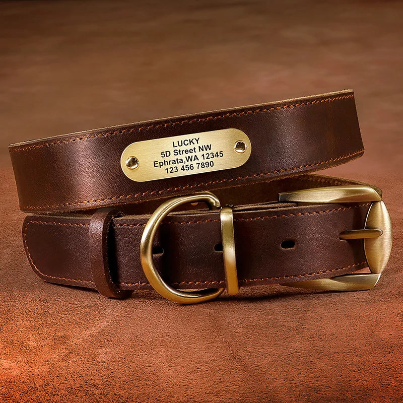 Collier pour chien en cuir marron avec plaque gravée personnalisable sur fond marron.