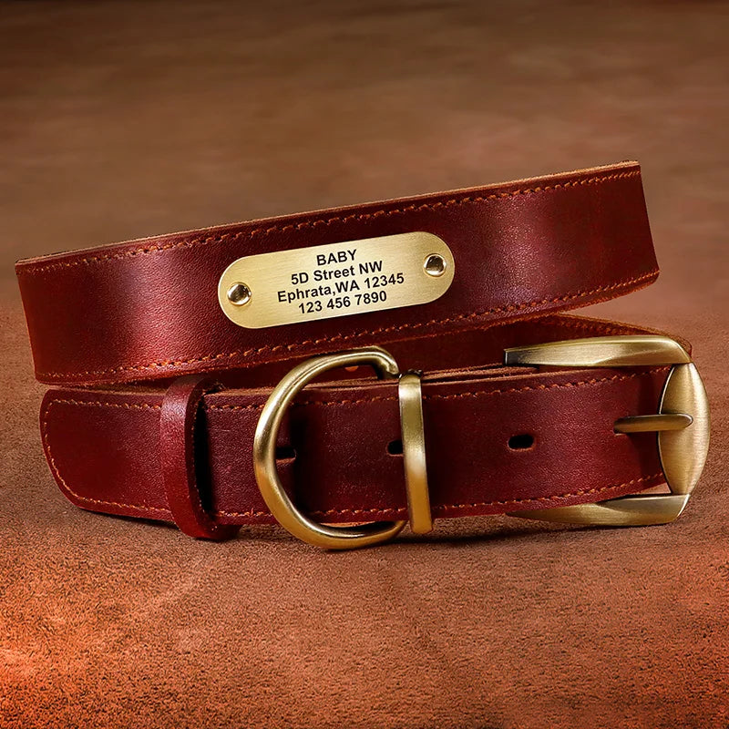 Collier pour chien en cuir rouge avec plaque gravée personnalisable sur fond marron.