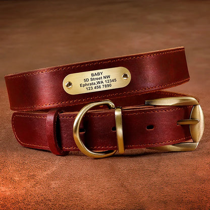 Collier pour chien en cuir rouge avec plaque gravée personnalisable sur fond marron.