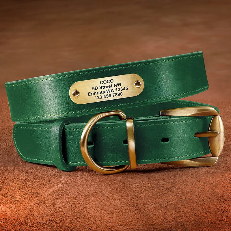 Collier pour chien en cuir vert avec plaque gravée personnalisable sur fond marron.
