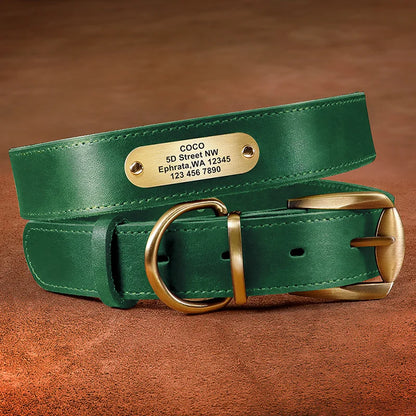 Collier pour chien en cuir vert avec plaque gravée personnalisable sur fond marron.