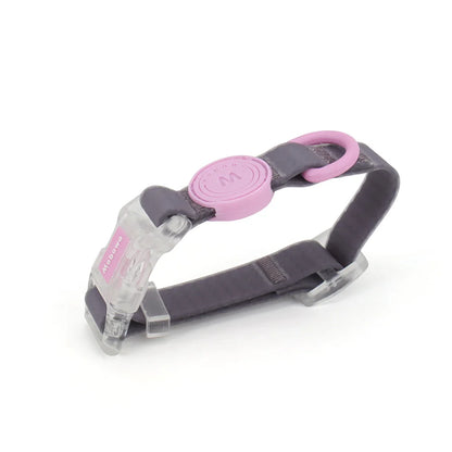 Collier pour chien gris et rose avec boucle transparente présenté sur fond blanc.