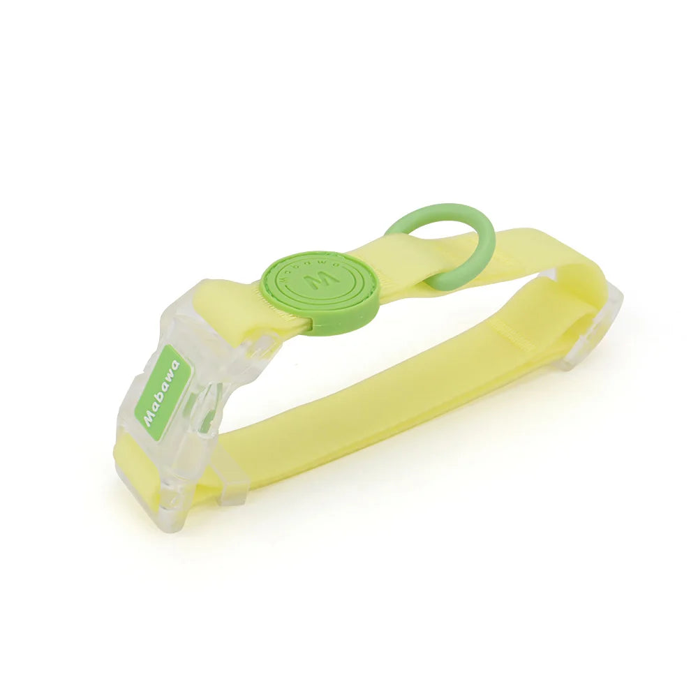 Collier pour chien jaune clair et vert avec boucle transparente présenté sur fond blanc.
