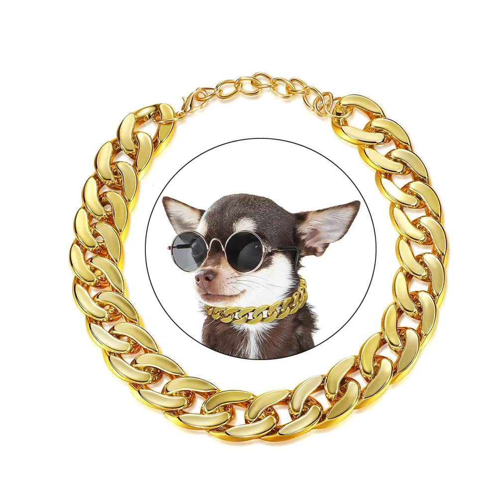 Collier chaîne pour chien montré autour d’un visuel de petit chien avec lunettes.