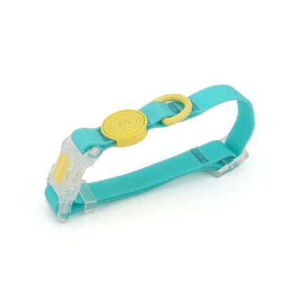 Collier pour chien turquoise et jaune avec boucle transparente présenté sur fond blanc.