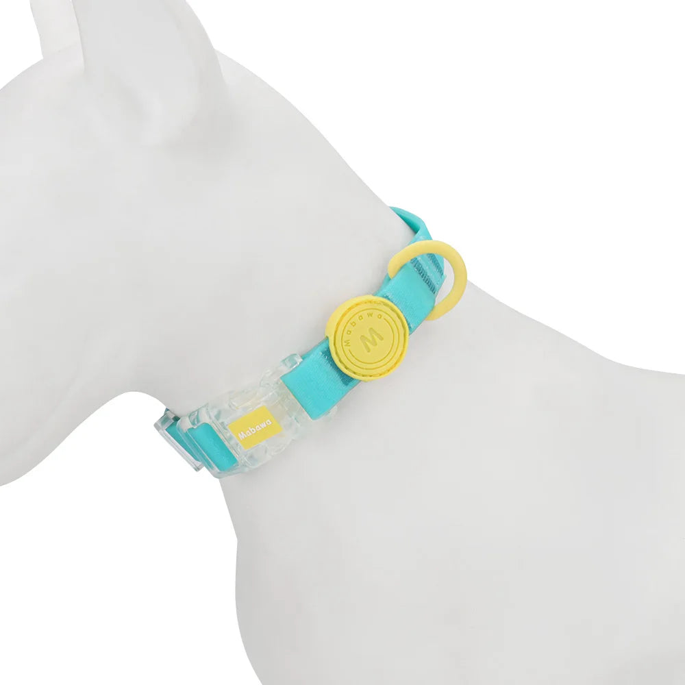 Collier pour chien turquoise et jaune porté sur un mannequin de chien.
