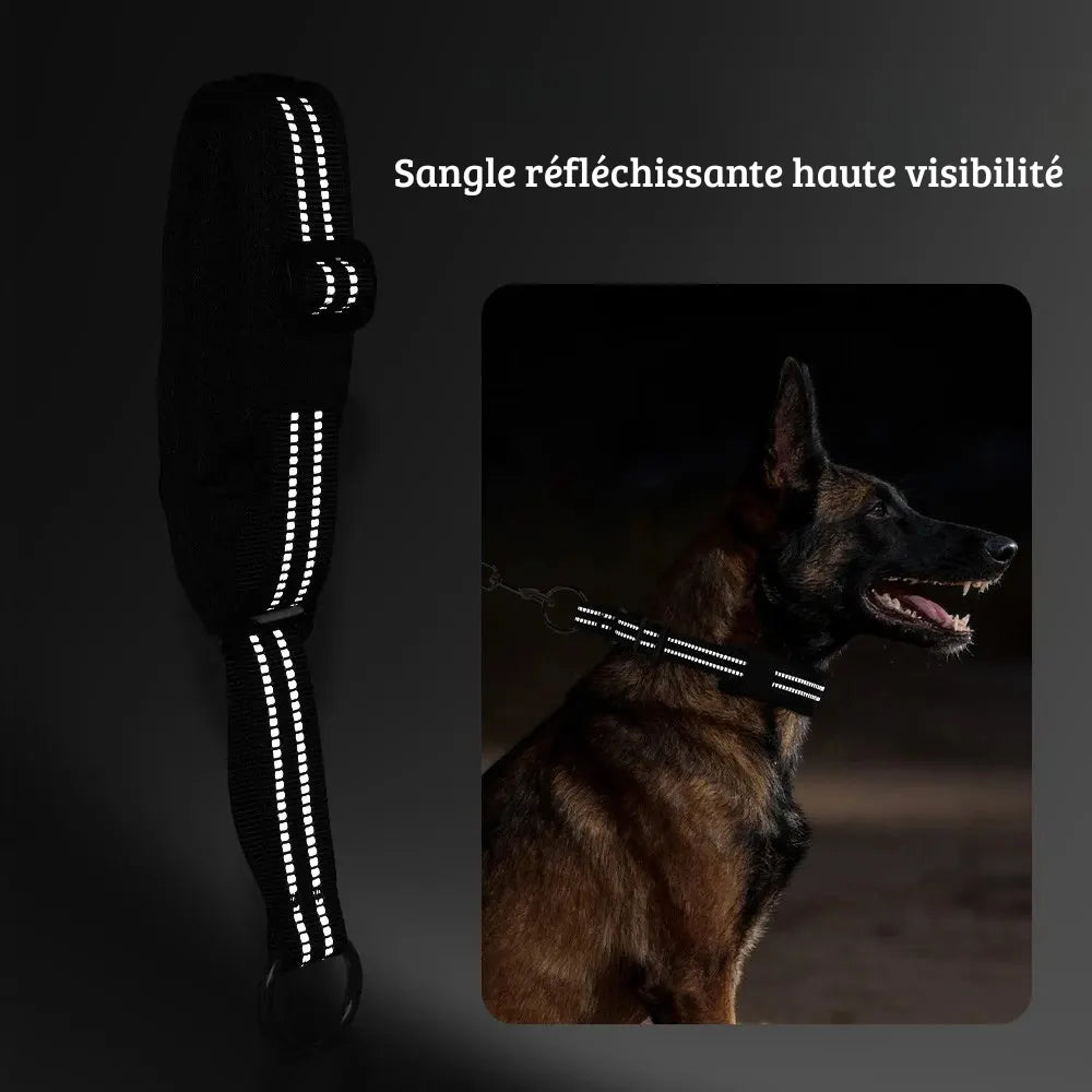 Collier noir pour chien avec bandes réfléchissantes sur fond sombre.