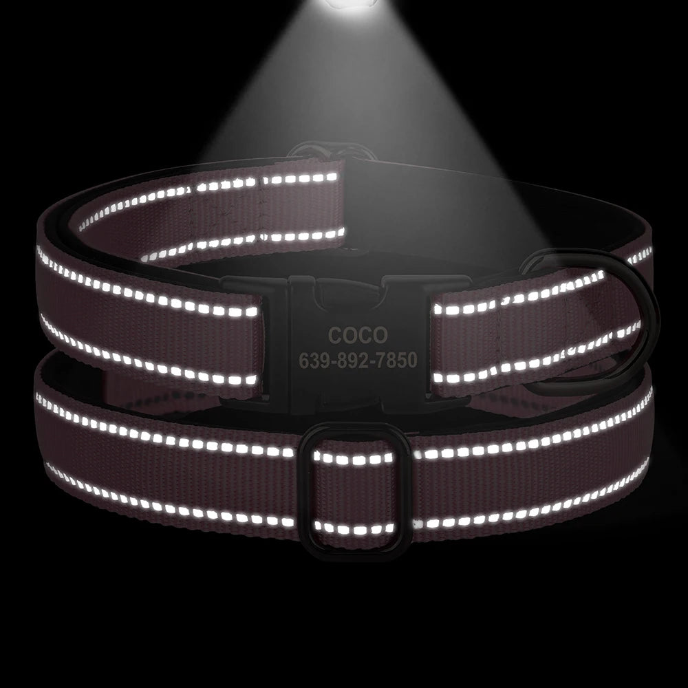 Collier pour chien avec bandes réfléchissantes éclairées sur fond noir.