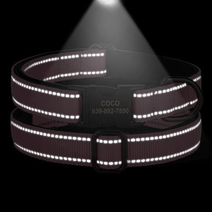 Collier pour chien avec bandes réfléchissantes éclairées sur fond noir.