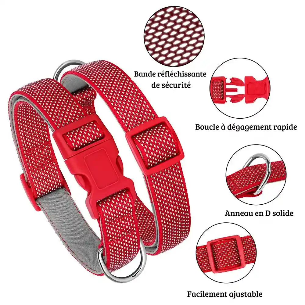 Collier rouge pour chien avec détails de la bande réfléchissante, de la boucle et de l’anneau sur fond blanc.
