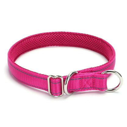 Collier rose fuschia pour chien avec doublure en maille sur fond blanc.