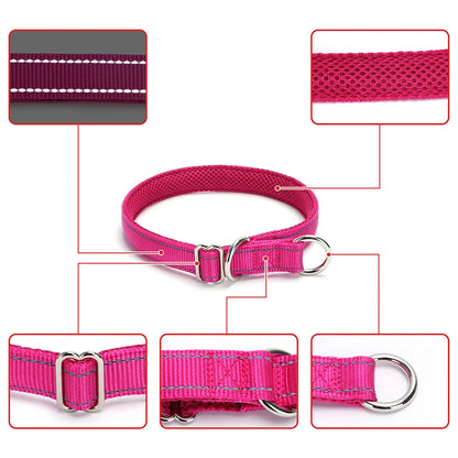 Schéma d’un collier rose pour chien avec vues détaillées des différentes parties.