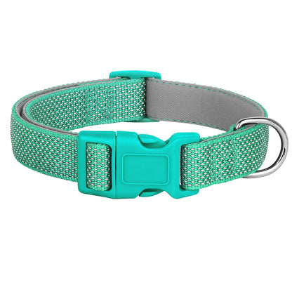 Collier de sécurité turquoise pour chien avec rembourrage et surface réfléchissante sur fond blanc.