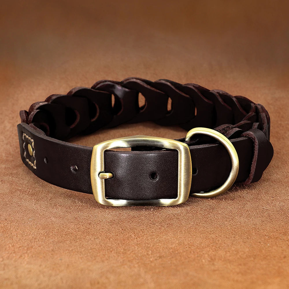 Collier tressé marron foncé pour chien avec boucle dorée sur fond brun.
