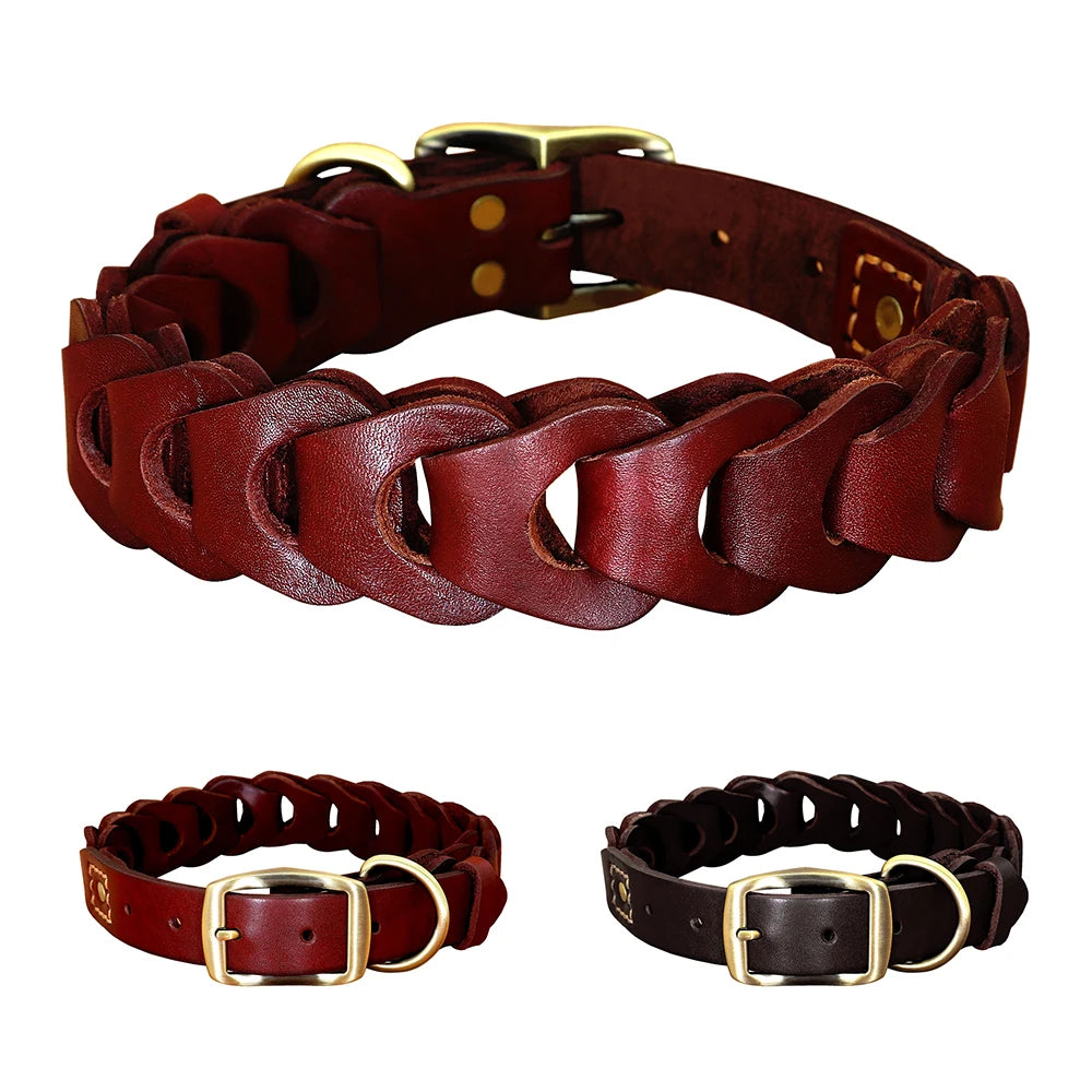 Gamme de colliers d’identification pour chien avec cuir bicolore et plaque gravée dorée.