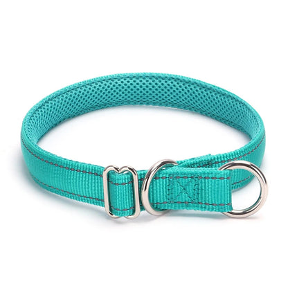 Collier turquoise pour chien avec doublure en maille sur fond blanc.