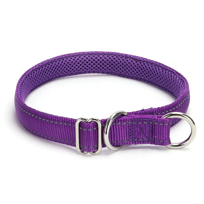 Collier violet foncé pour chien avec doublure en maille sur fond blanc.
