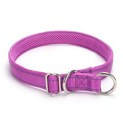 Collier violet pour chien avec doublure en maille sur fond blanc.
