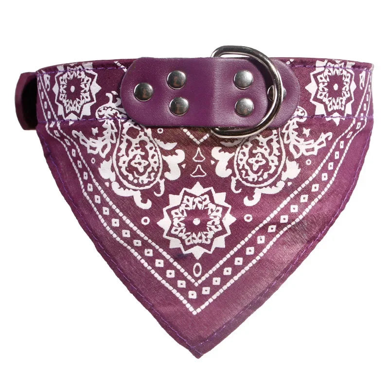 Le style unique du bandana violet apporte une vraie touche de mode à votre chien. Idéal pour sublimer les sorties sans passer inaperçu.