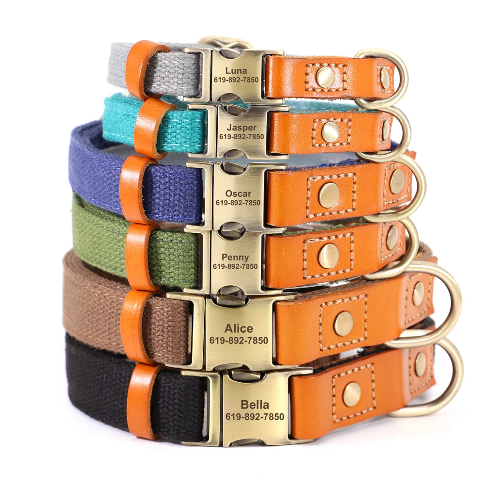 Colliers pour chien empilés avec boucle métal gravée personnalisable sur un fond blanc.