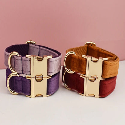 Colliers pour chien en velours présentés en plusieurs coloris avec bouclerie dorée.