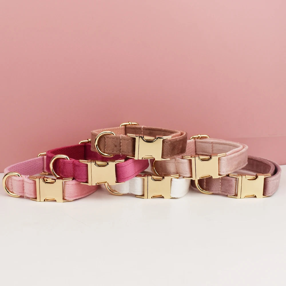 Colliers pour chien en velours regroupés dans des tons roses et beige.