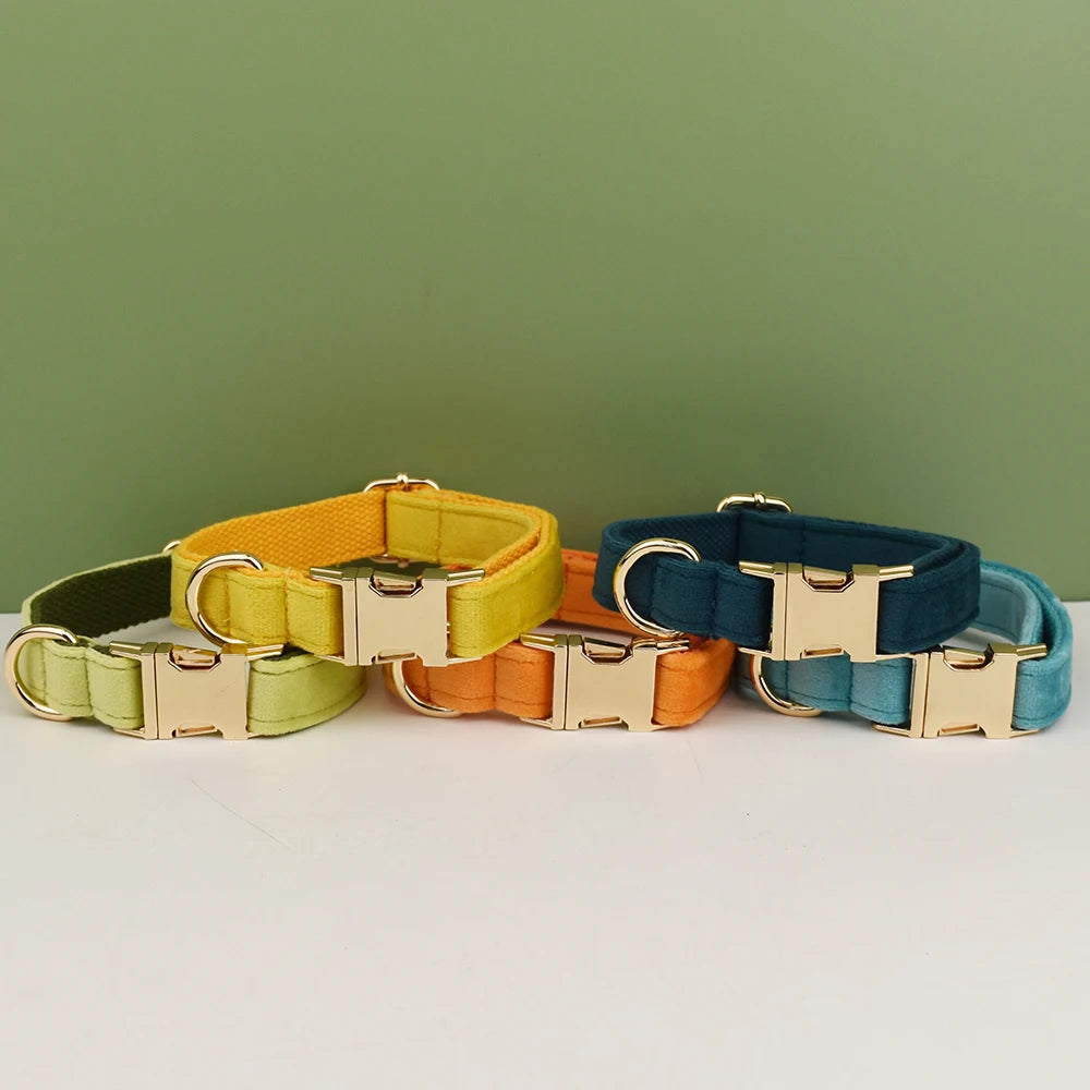 Colliers pour chien en velours regroupés en plusieurs coloris devant un fond vert.