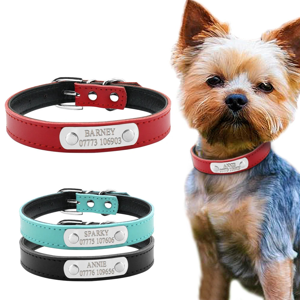 Présentation de colliers personnalisables pour chiot et un chiot portant un collier rouge sur la droite de l'image.