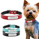 Présentation de colliers personnalisables pour chiot et un chiot portant un collier rouge sur la droite de l'image.