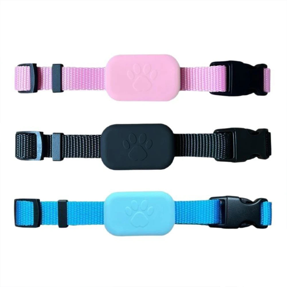 Vue de face du produit de trois colliers avec boîtier en silicone pour chien sur fond blanc.