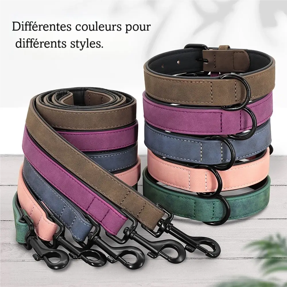 Colliers et laisses pour chien disponibles en plusieurs coloris présentés sur un parquet en bois gris.