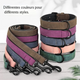 Colliers et laisses pour chien disponibles en plusieurs coloris présentés sur un parquet en bois gris.