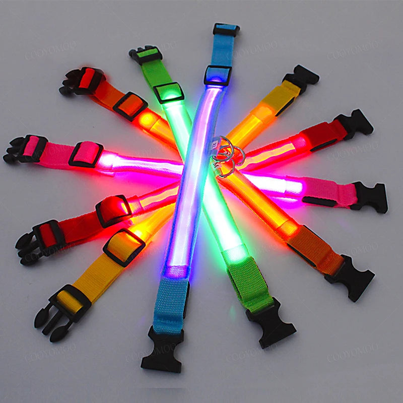 Plusieurs colliers lumineux en rose, rouge, orange, jaune, vert et bleu pour chien disposés en cercle sur fond gris.