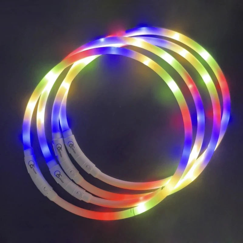 Plusieurs colliers lumineux multicolores pour chien disposés en cercle sur fond noir.