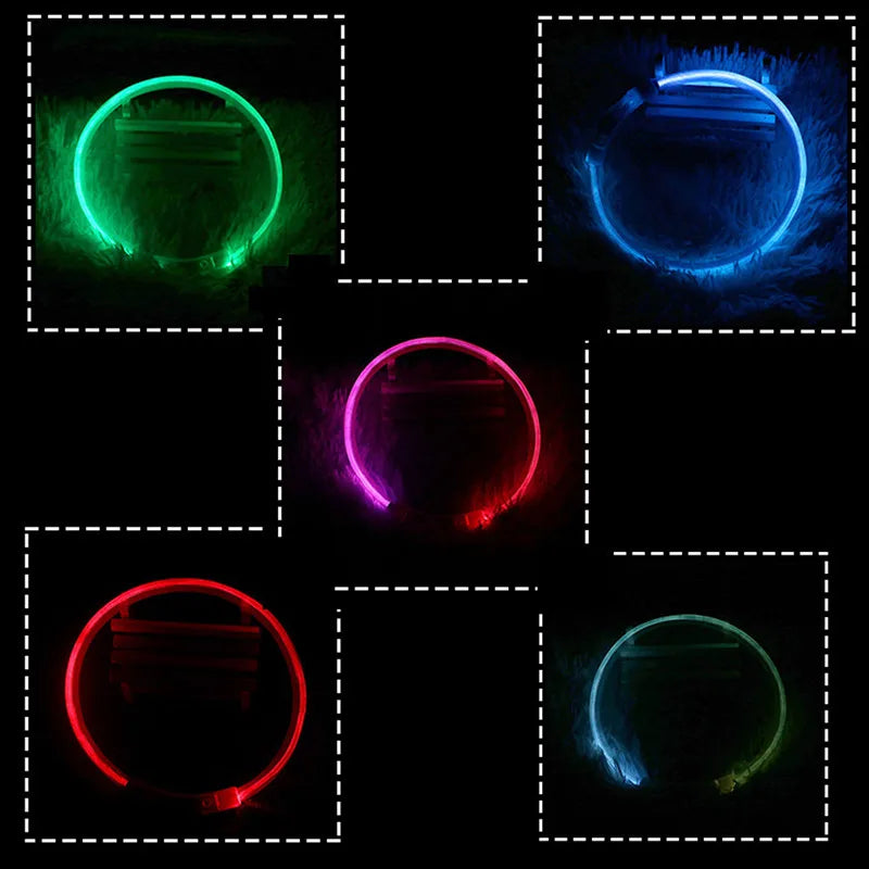 Plusieurs colliers lumineux pour chien allumés en différentes couleurs et placés sous forme de croix sur fond noir.