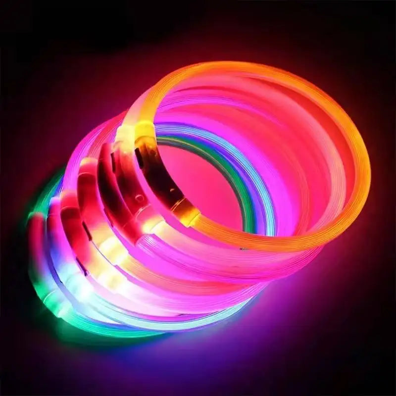 Plusieurs colliers lumineux pour chien allumés en différentes couleurs sur fond noir.