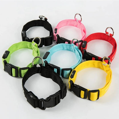 Vue de groupe de colliers LED pour chien en différentes couleurs - noir, rose, rouge, vert, bleu et jaune - sur fond blanc.