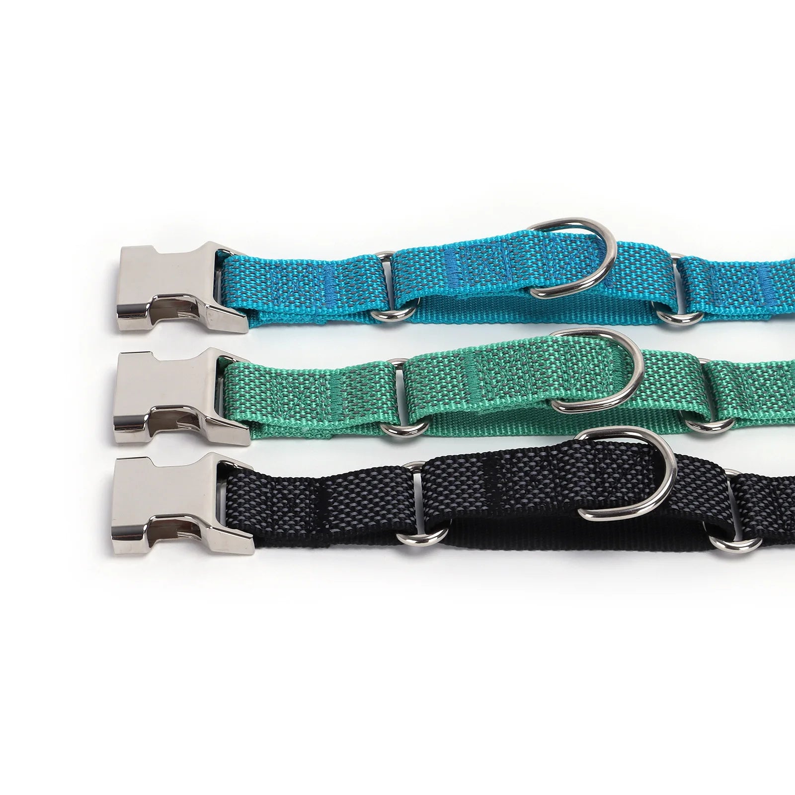 Détail de trois colliers martingale pour chien en bleu, vert et noir avec anneaux métalliques sur fond blanc.