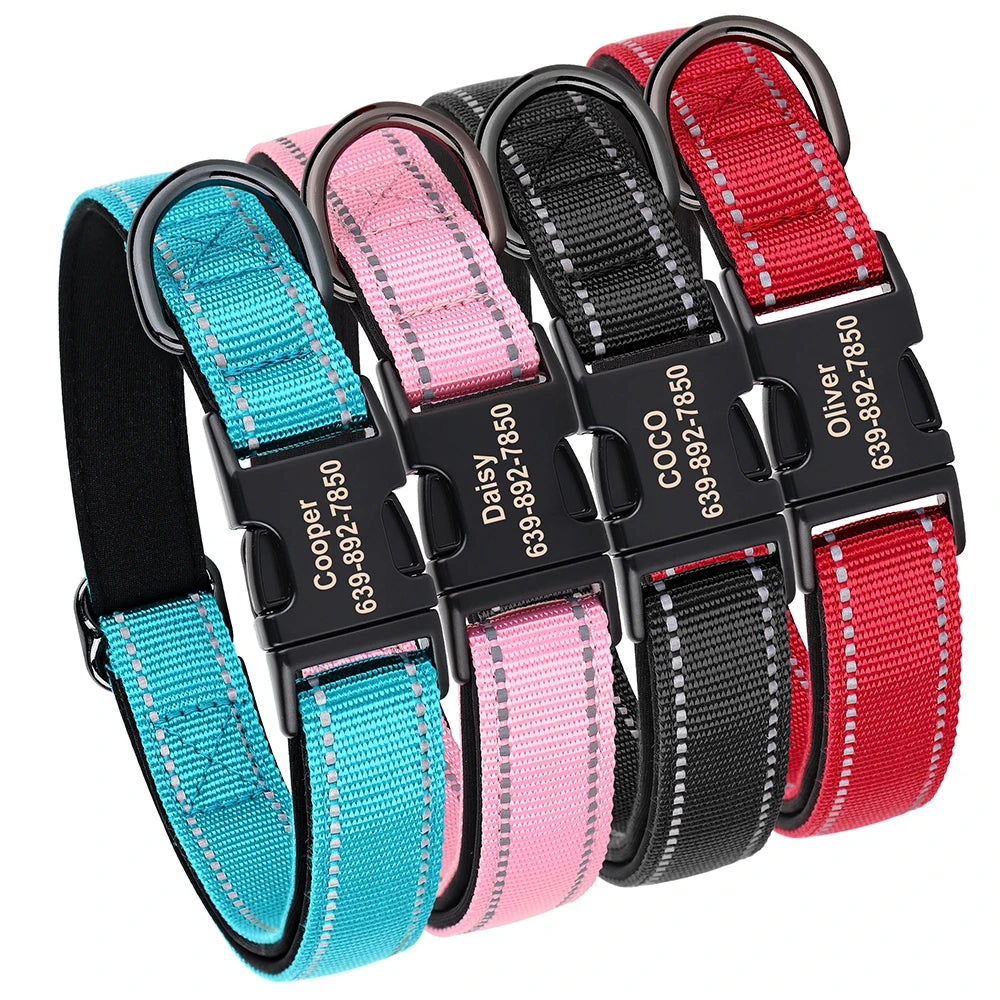 Quatre colliers personnalisés pour chien en bleu, rose, noir et rouge sur fond blanc.