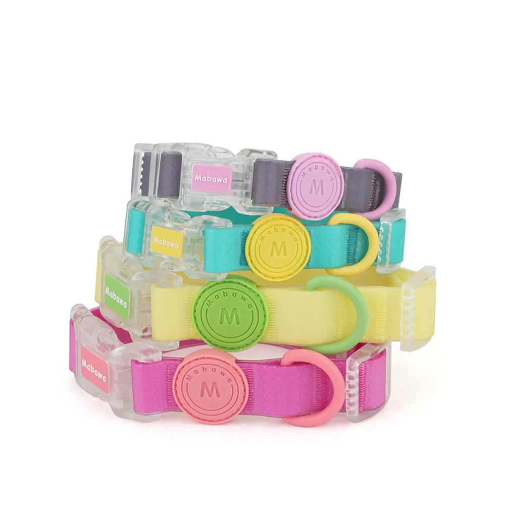 Colliers pour chien empilés avec boucle transparente en plusieurs coloris présentés sur fond blanc.