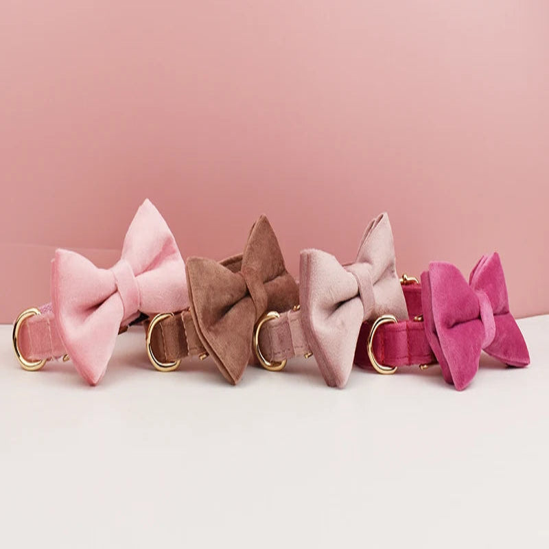 Colliers pour chien en velours avec nœud papillon en plusieurs coloris.