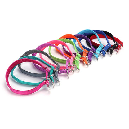 Plusieurs colliers pour chien de différentes couleurs alignés en diagonale sur fond blanc.