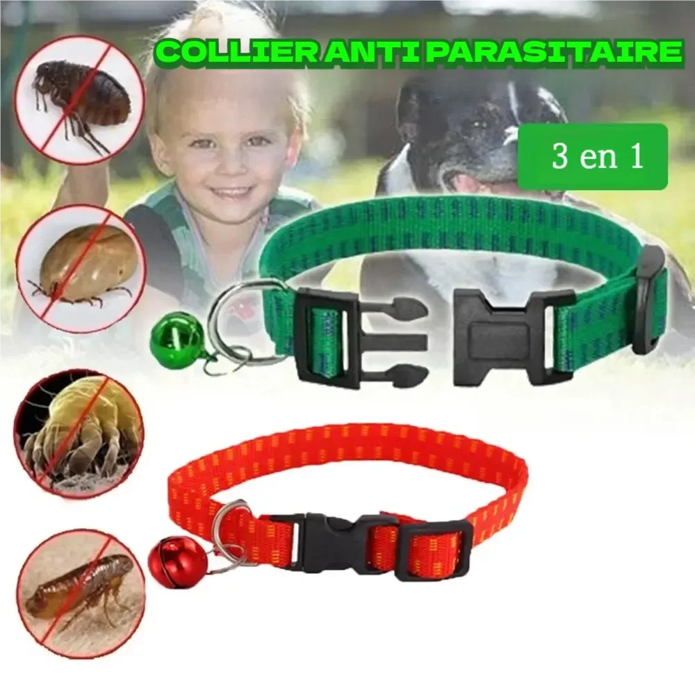 Visuel de deux colliers antiparasitaires pour chien avec grelot, en vert et en rouge