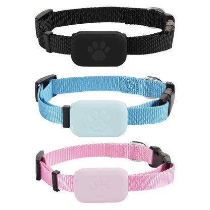 Trois colliers pour chien avec boîtier en silicone en rose, noir et bleu sur fond blanc.
