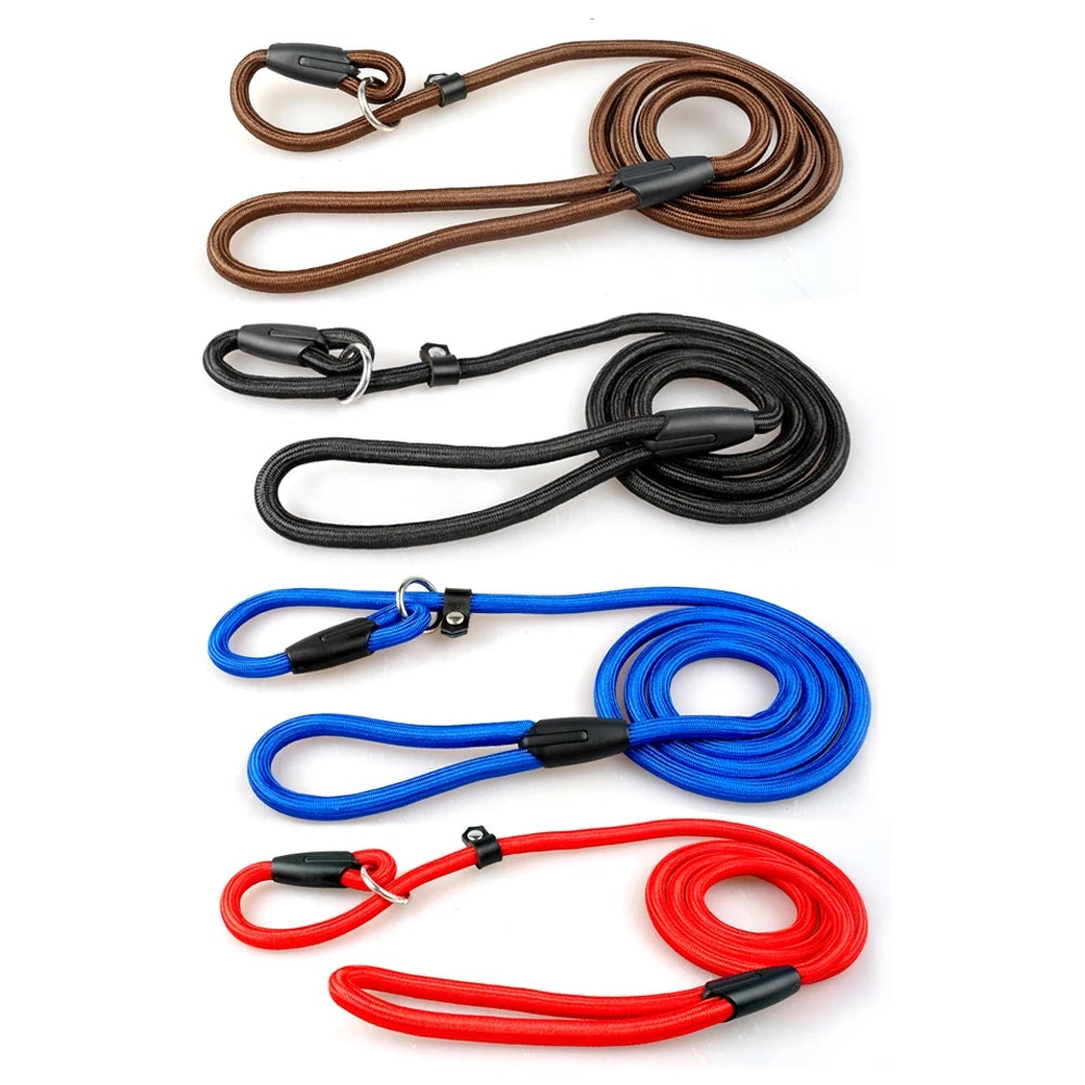 Présentation sur fond blanc de quatre coloris de laisses-colliers en corde pour chien : marron, noir, bleu et rouge.