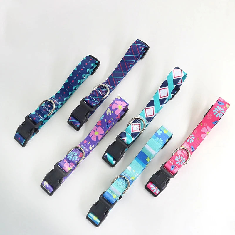 Six colliers pour chien alignés présentant différents motifs floraux et géométriques en rose, violet, bleu et turquoise sur fond clair.