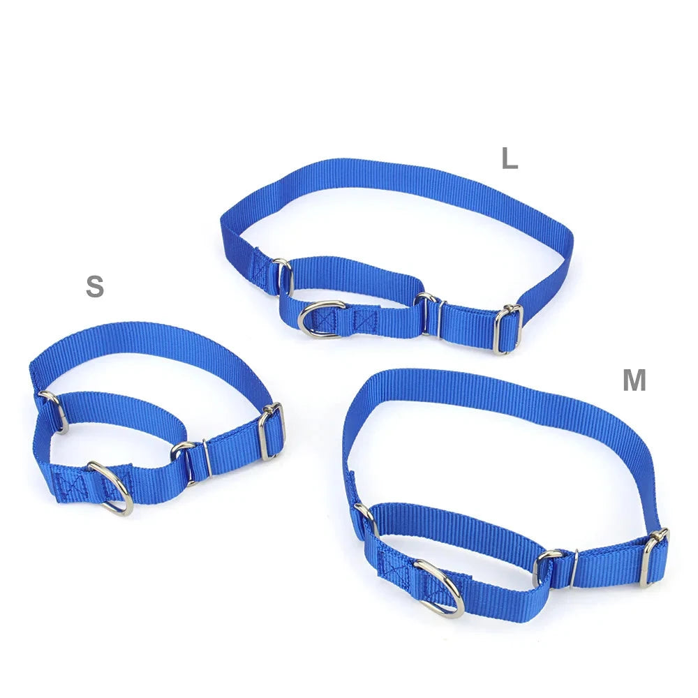 Comparatif visuel des trois tailles disponibles du collier martingale bleu pour chien sur fond blanc.